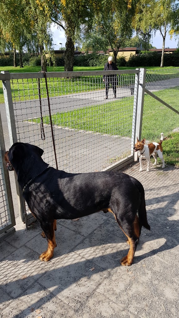 dog-park-vendelsfrid-park-16.jpeg