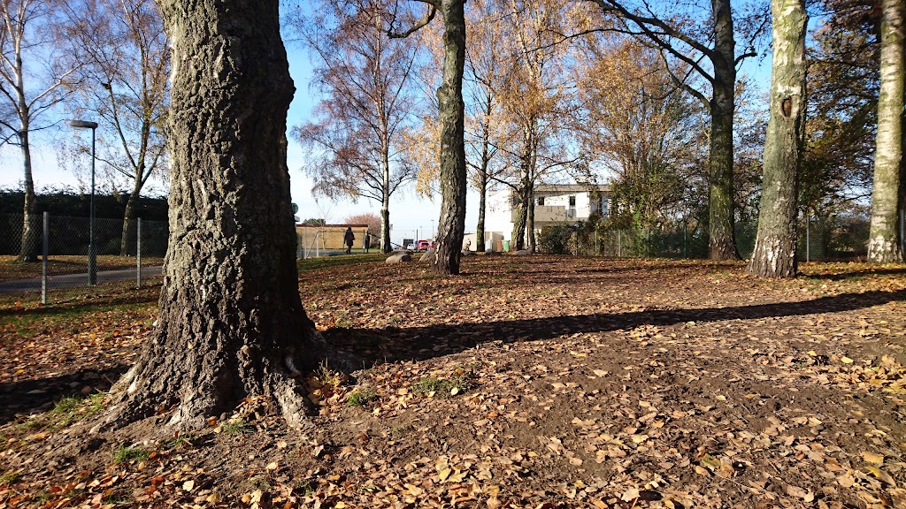 dog-park-vendelsfrid-park-2.jpeg