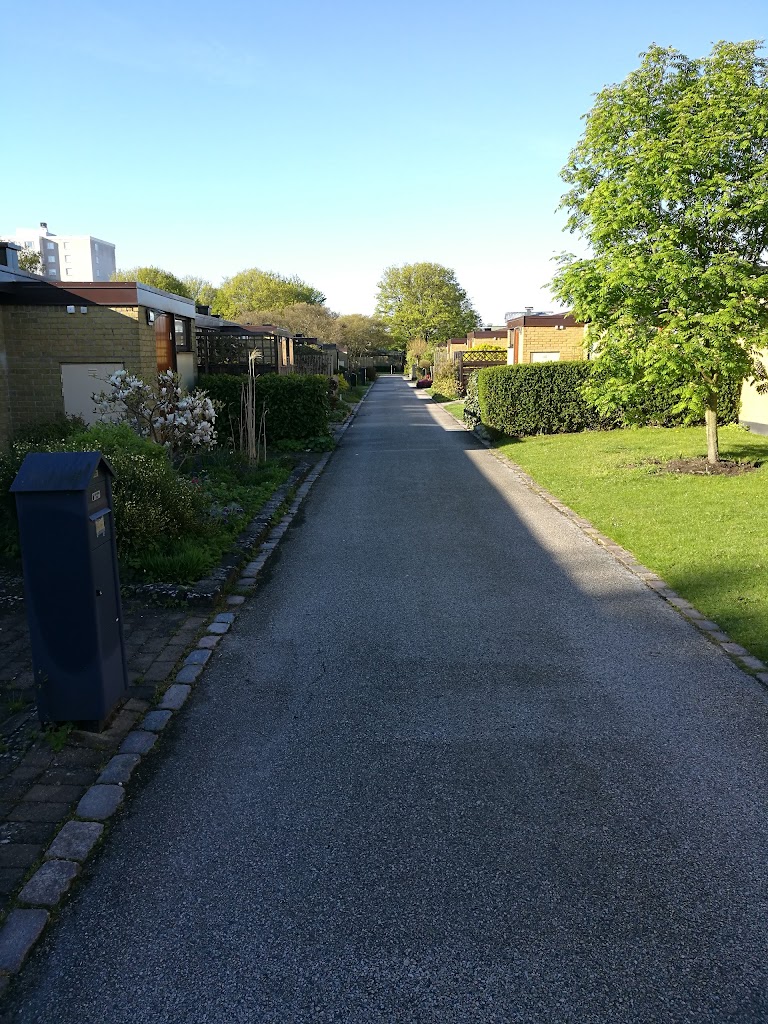 dog-park-vendelsfrid-park-6.jpeg