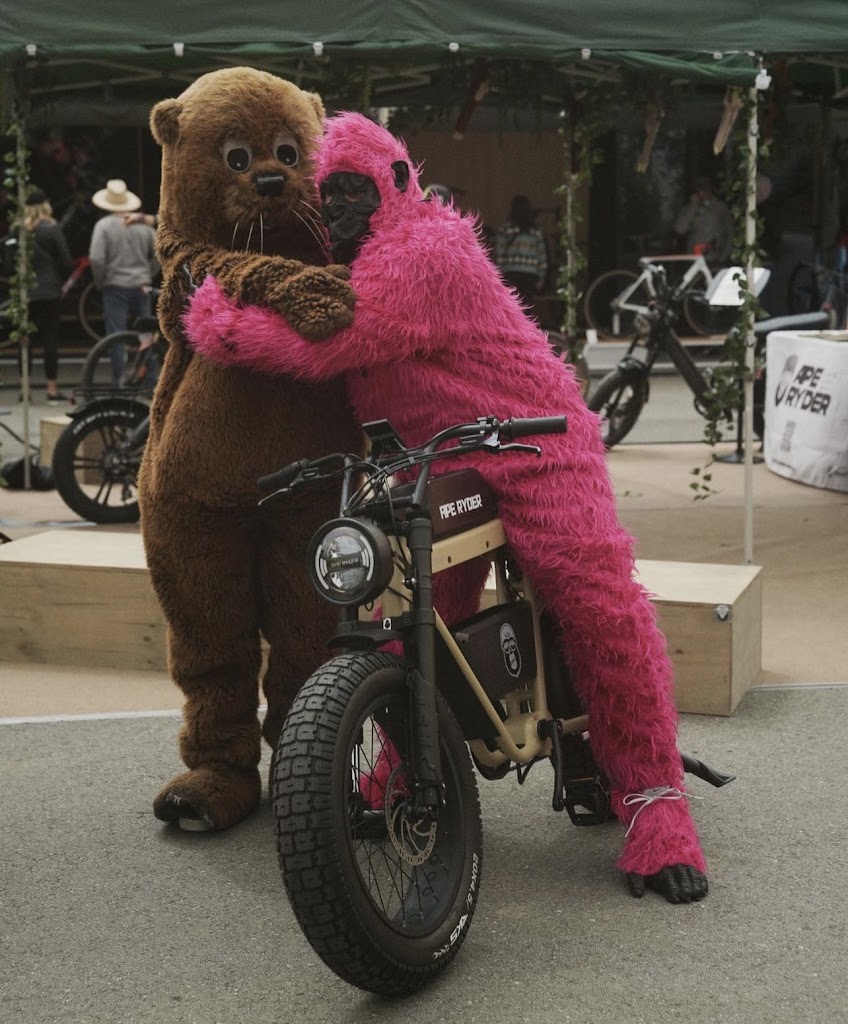 elecobike-ab-17.jpeg