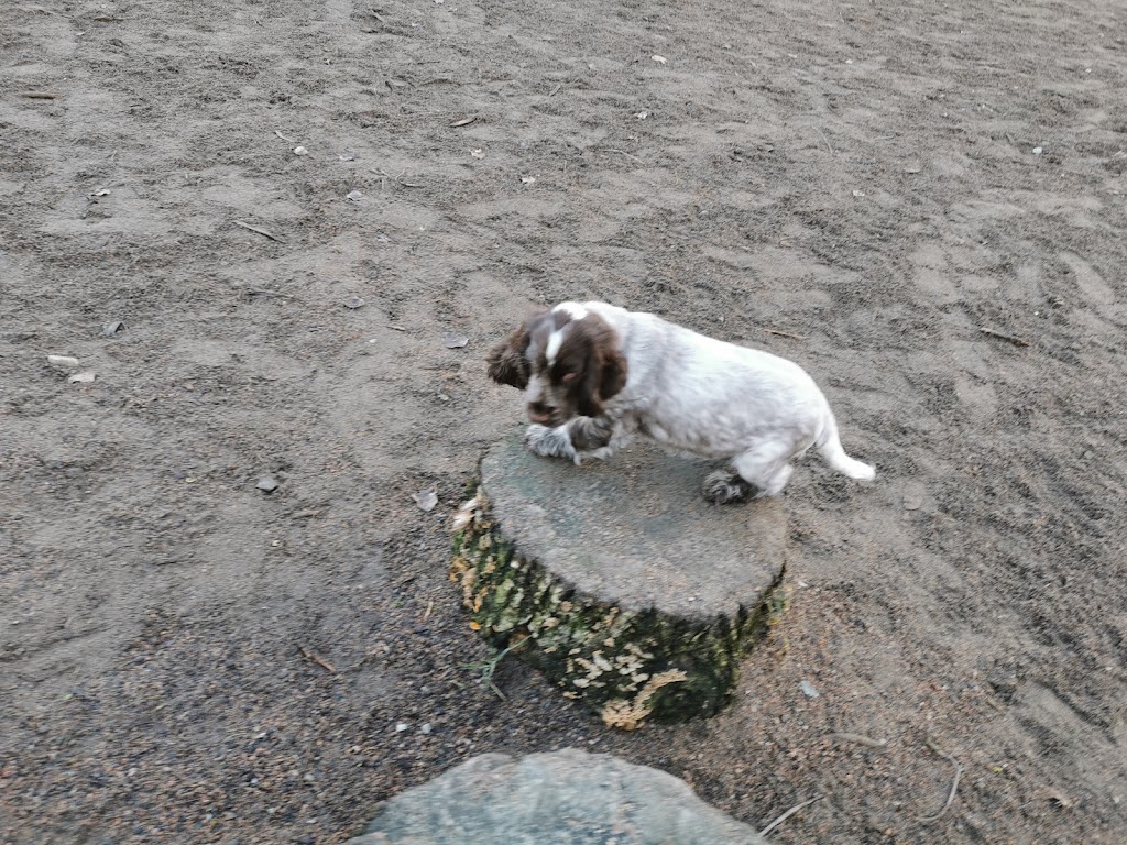 flygfaltsparkens-hundrastgard-10.jpeg