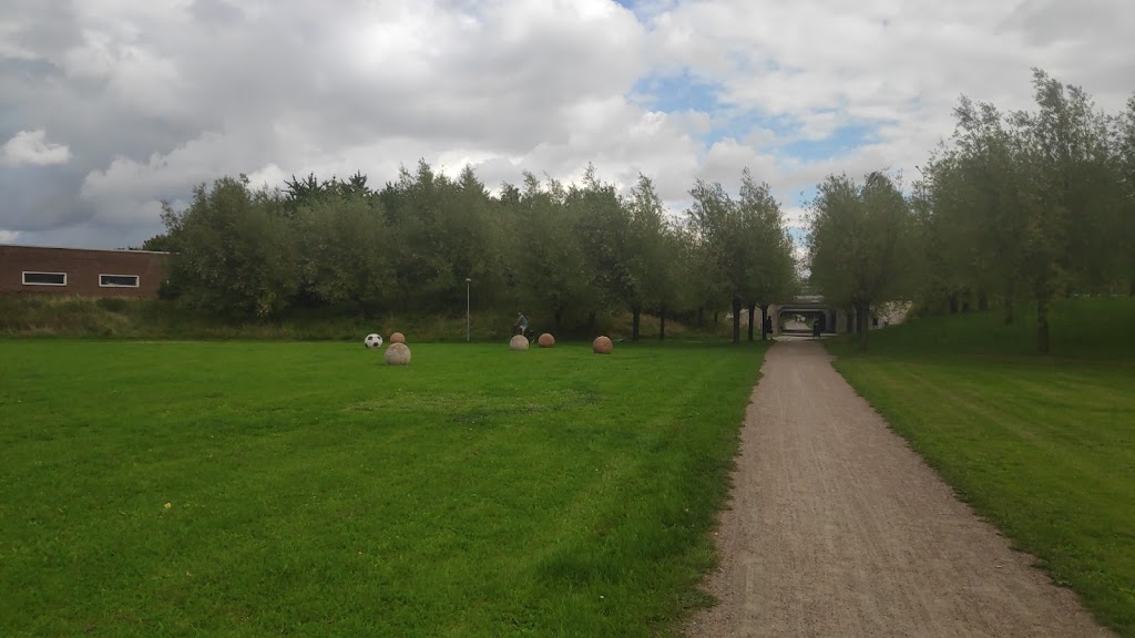 flygfaltsparkens-hundrastgard-14.jpeg