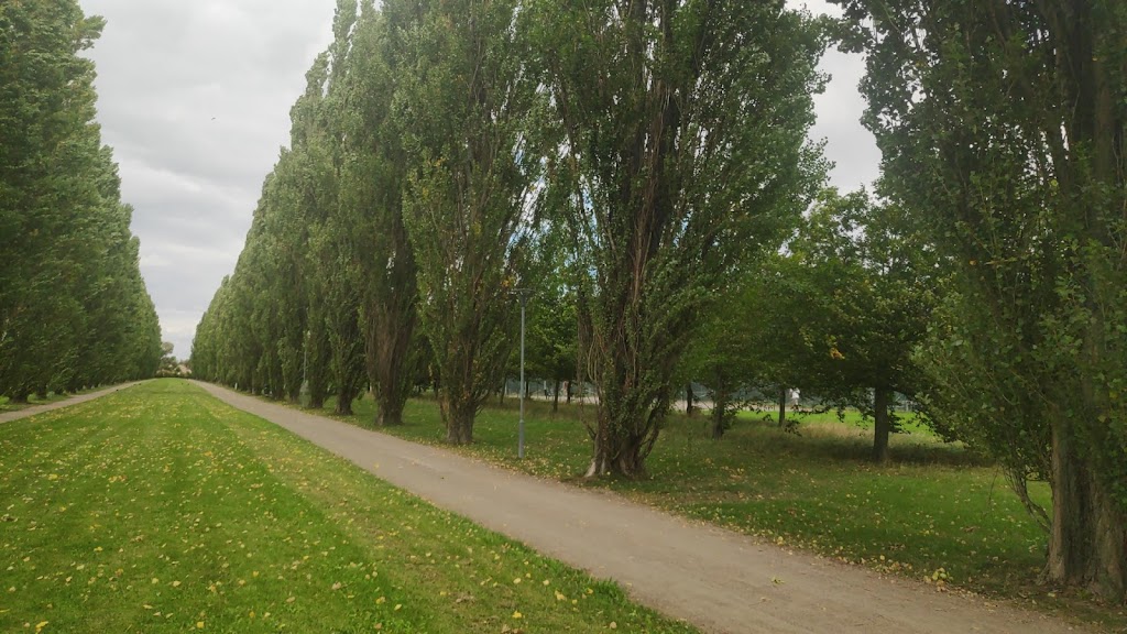 flygfaltsparkens-hundrastgard-17.jpeg