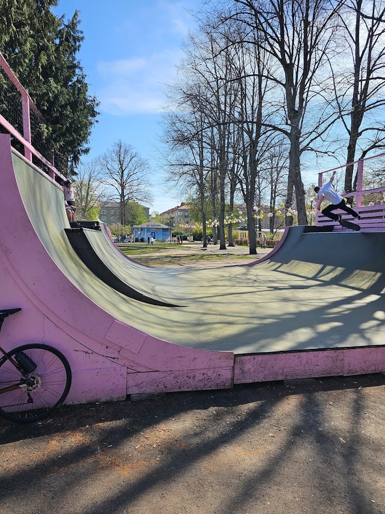 folkets-park-skateboardramp-0.jpeg