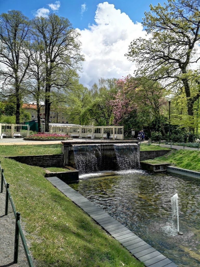 folkets-park-skateboardramp-13.jpeg