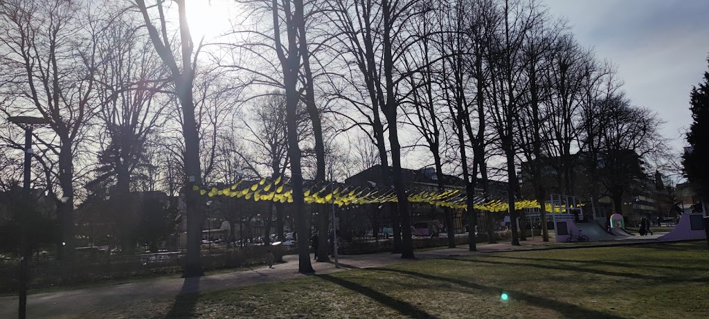folkets-park-skateboardramp-6.jpeg
