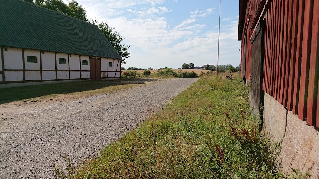 fridentorp-malmo-sodra-sallerup-ryttarforening-3.jpeg