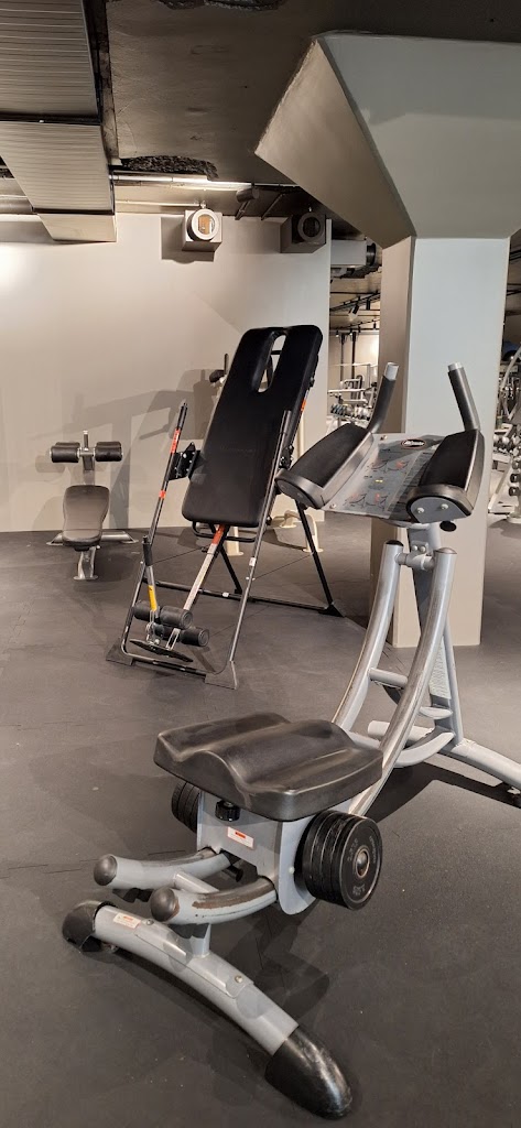 friskissvettis-kronprinsen-gym-5.jpeg
