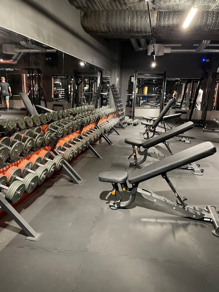 gym-house-malmo-18.jpeg