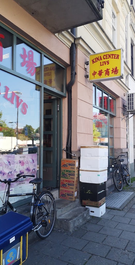 kina-center-livs-11.jpeg