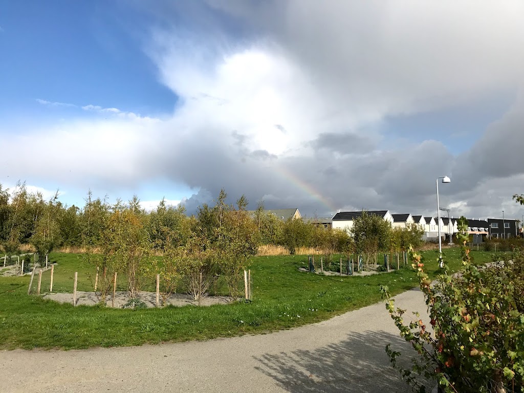 lilla-kalkbrottsparken-14.jpeg