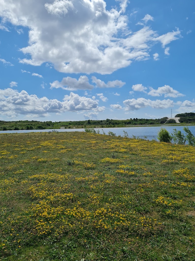 lindangelunds-recreation-area-3.jpeg