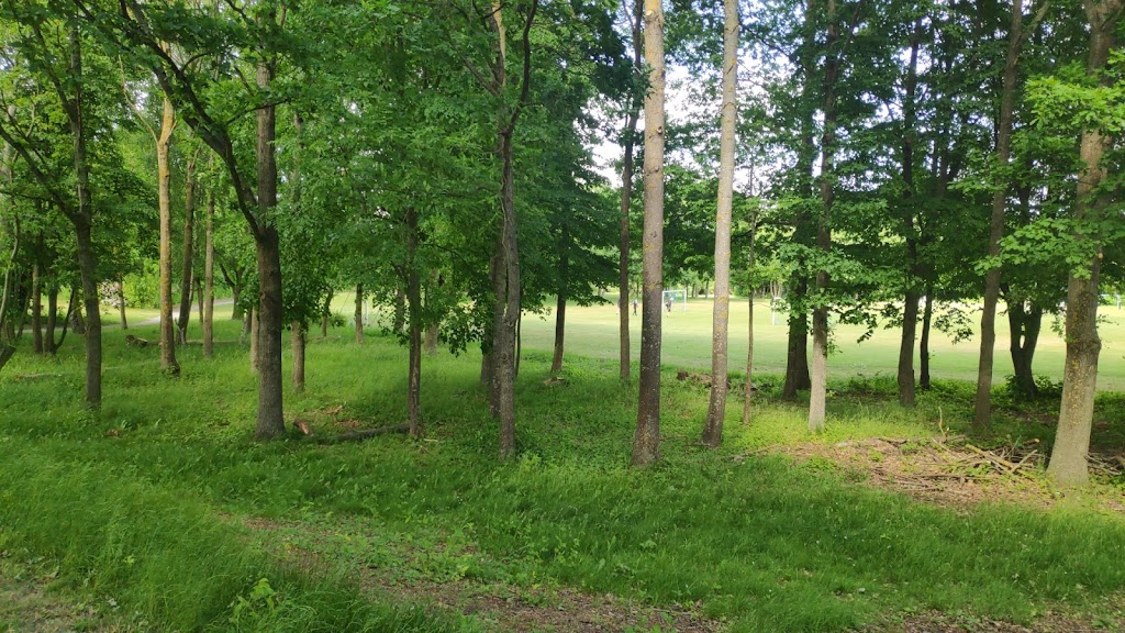 lindangens-idrottsplats-och-cricket-plan-1.jpeg