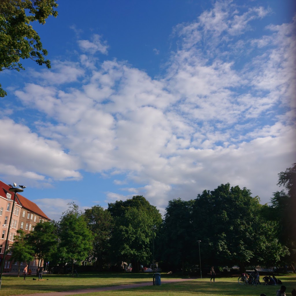 magistratsparken-7.jpeg