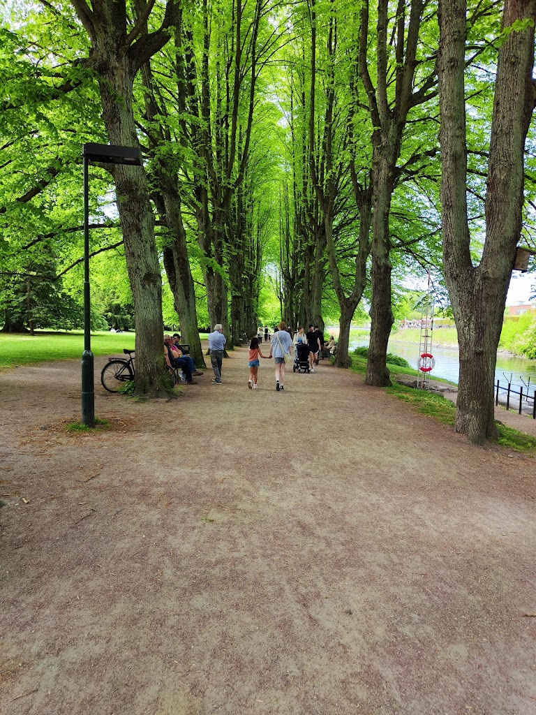 malmo-canoe-club-3.jpeg