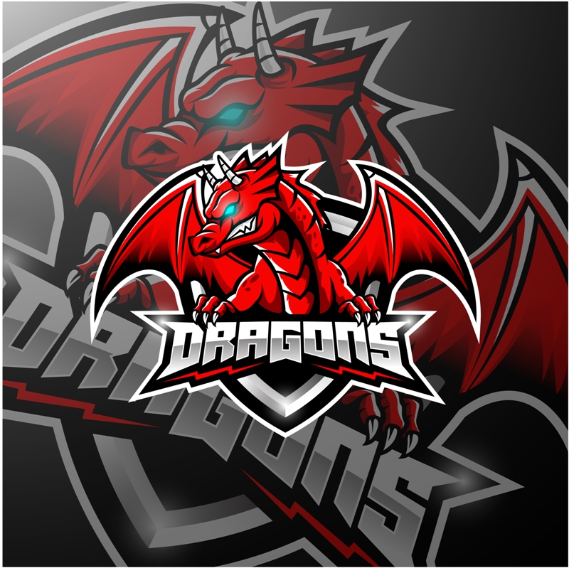 malmo-dragons-e-sport-1.jpeg