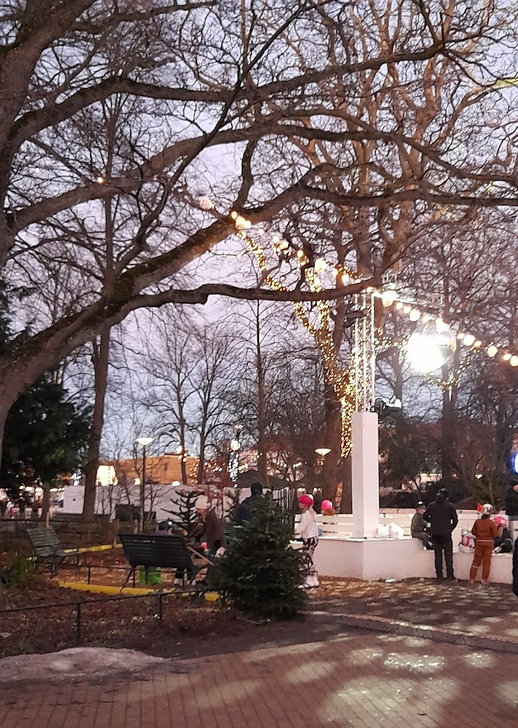 malmo-folkets-park-13.jpeg