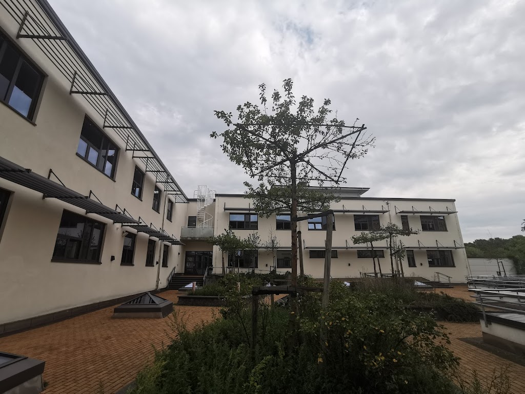 malmo-latin-school-5.jpeg