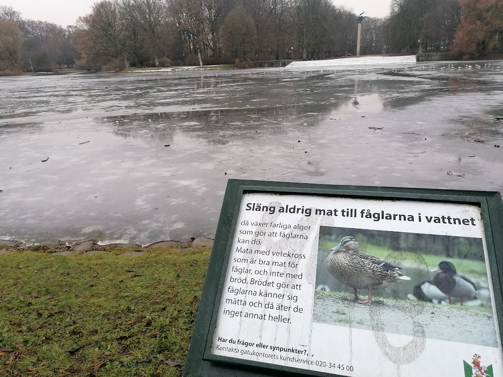 mariedalsparken-10.jpeg