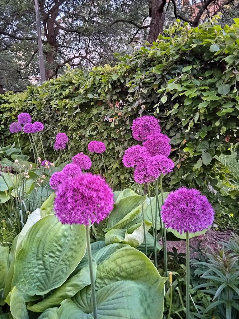 mariedalsparken-14.jpeg