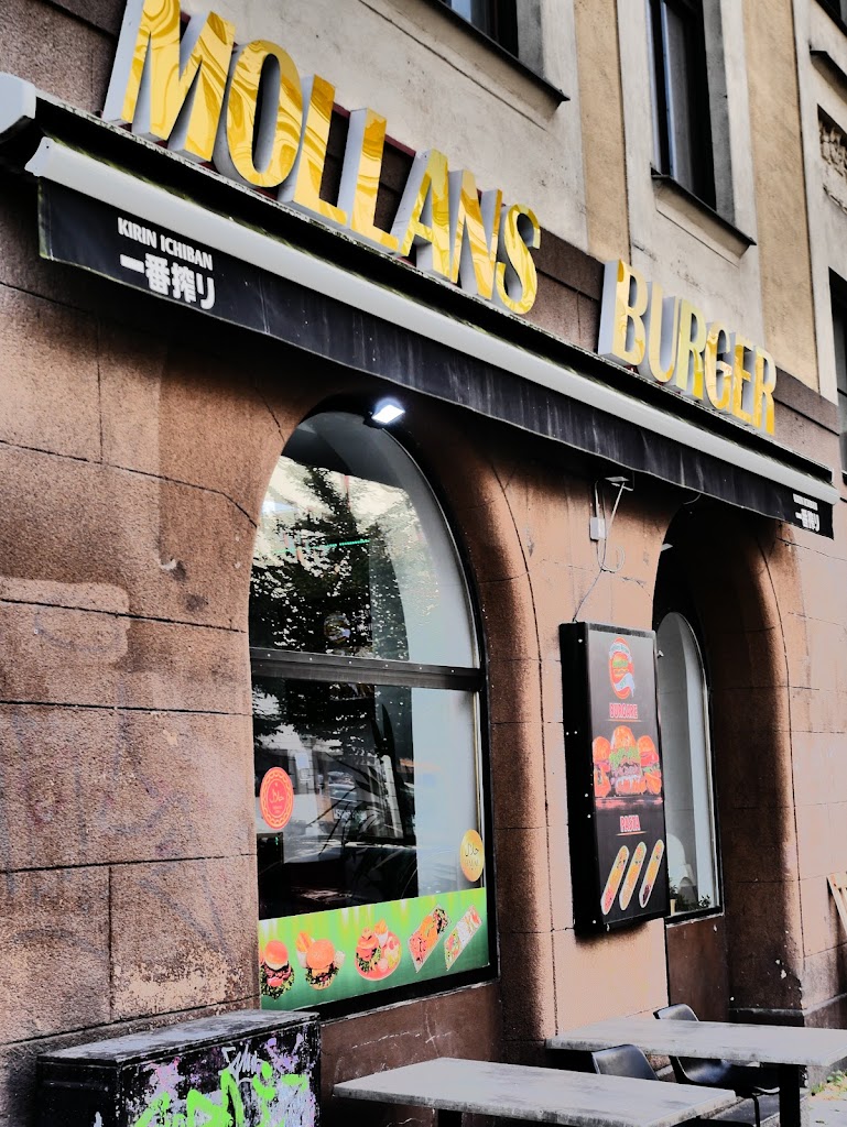 mollans-burger-8.jpeg