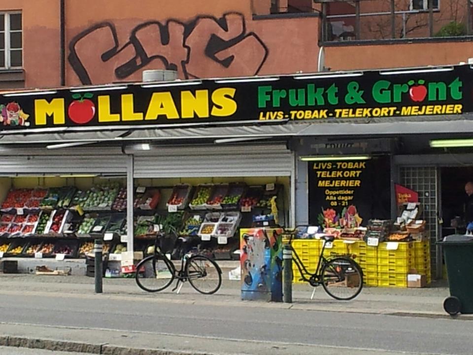 mollans-livs-2.jpeg