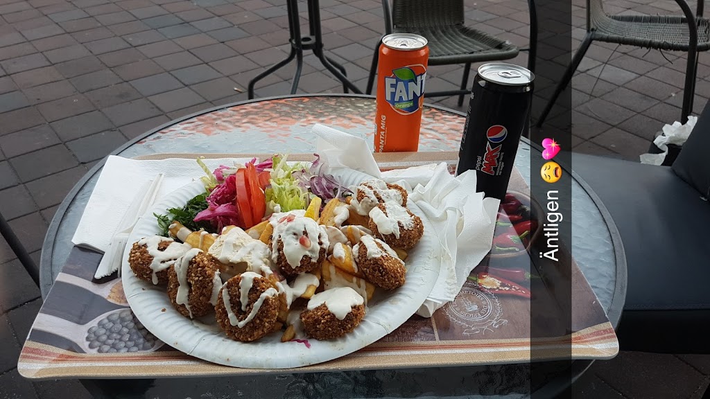 mr-falafel-7.jpeg