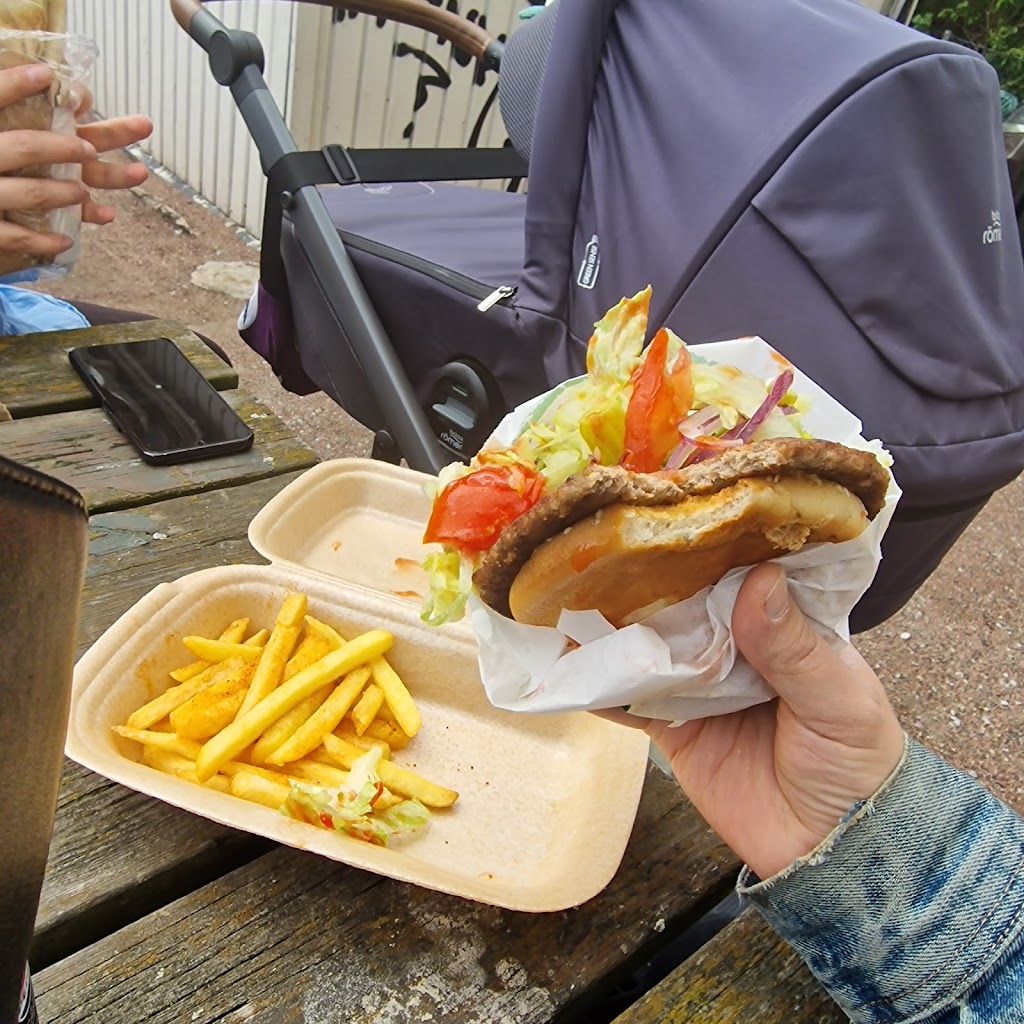 nobel-falafel-0.jpeg