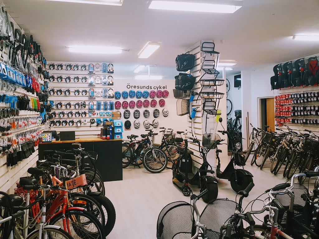 oresunds-cykel-0.jpeg