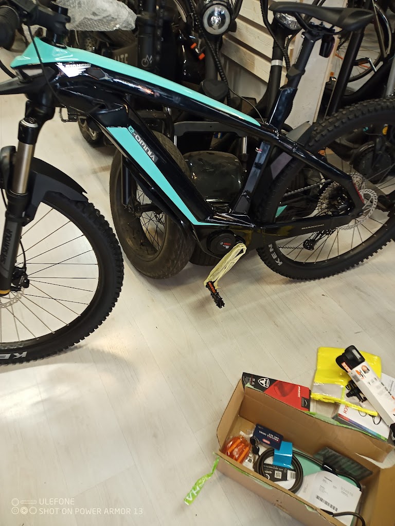 oresunds-cykel-3.jpeg