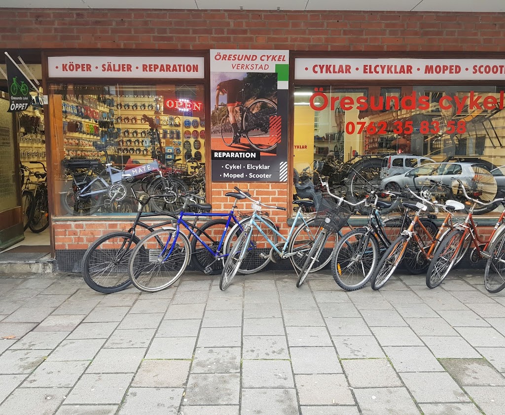 oresunds-cykel-5.jpeg