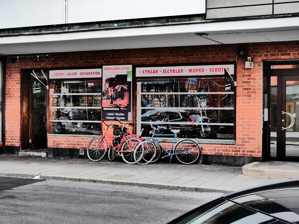 oresunds-cykel-6.jpeg