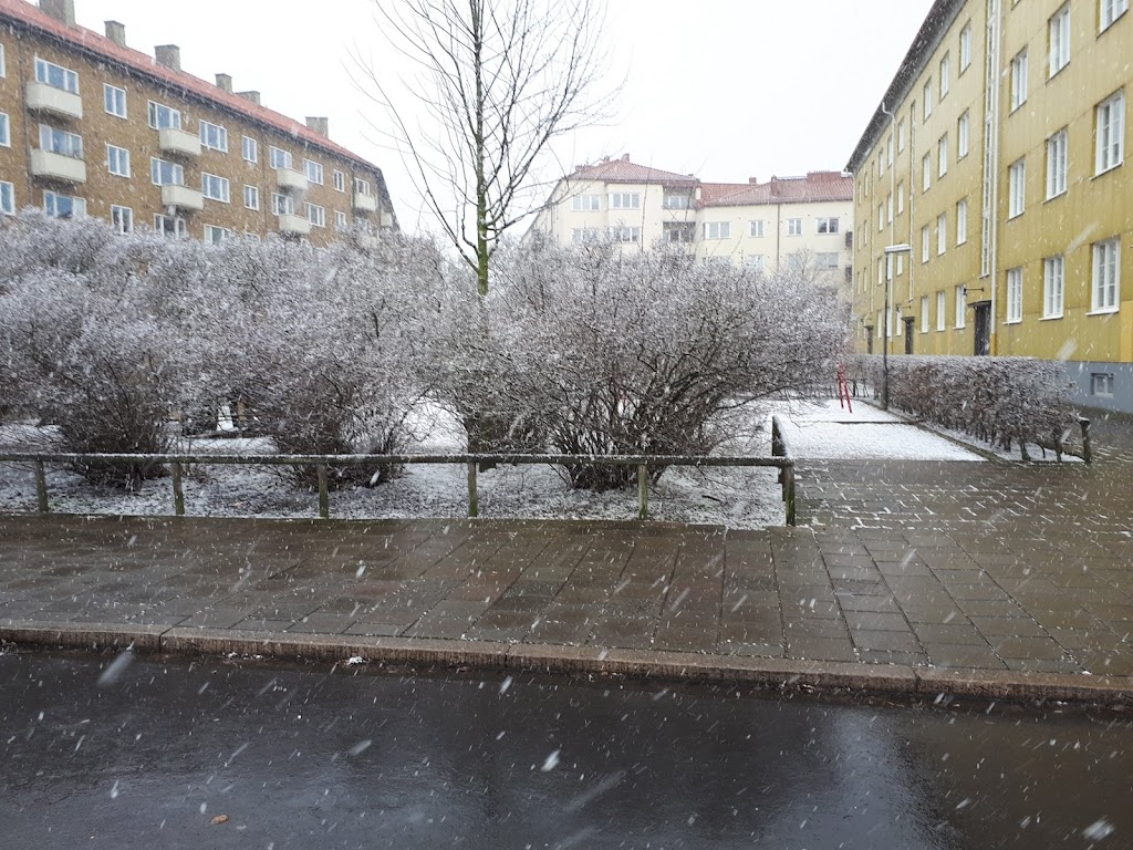 pildammsskolan-0.jpeg