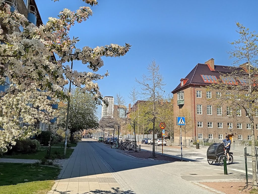 radmansvangens-skola-0.jpeg