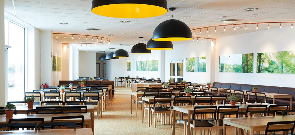 restaurang-forest-1.jpeg