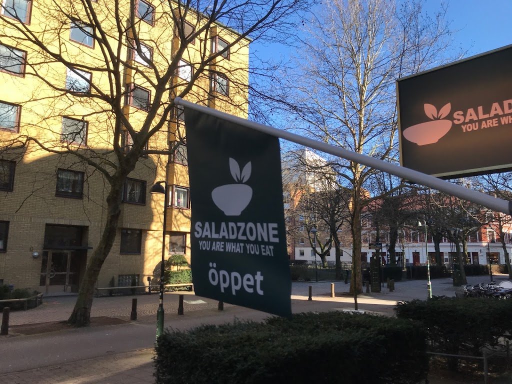 saladzone-2.jpeg