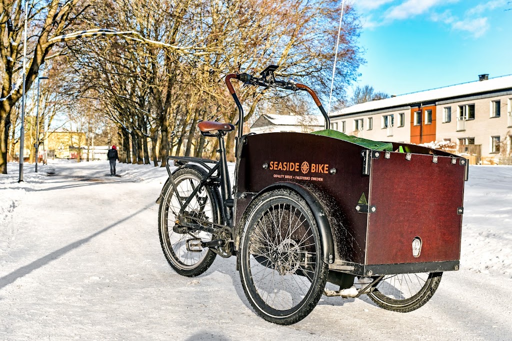 seaside-bike-ab-5.jpeg