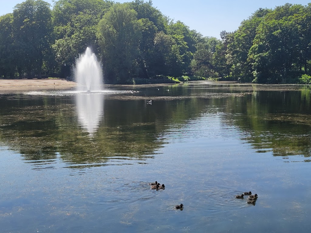slottstradgardens-kafe-15.jpeg