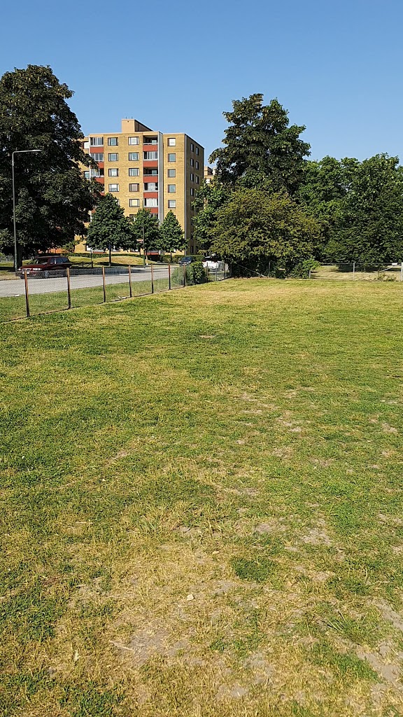 sorgenfrivagen-dog-park-0.jpeg