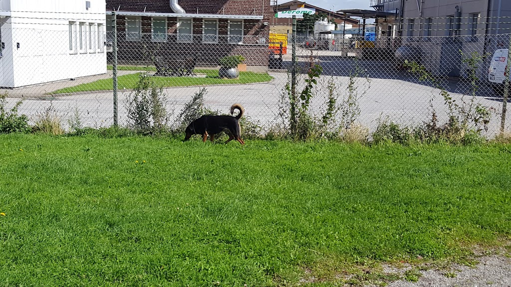 sorgenfrivagen-dog-park-4.jpeg