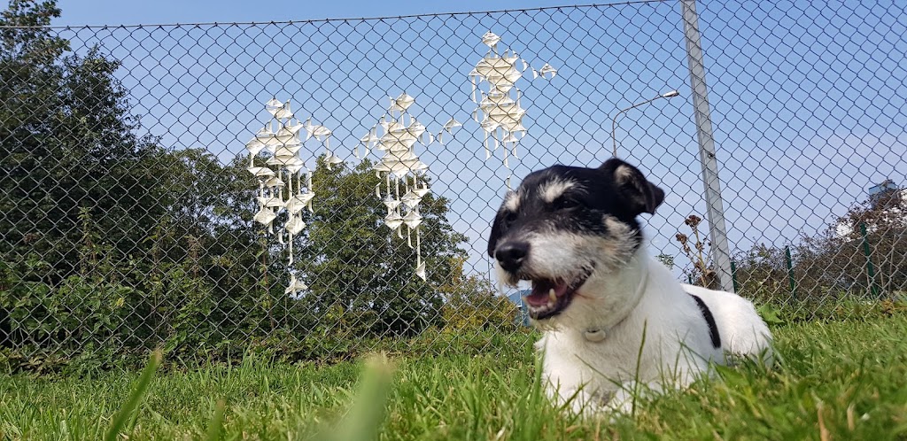 sorgenfrivagen-dog-park-6.jpeg