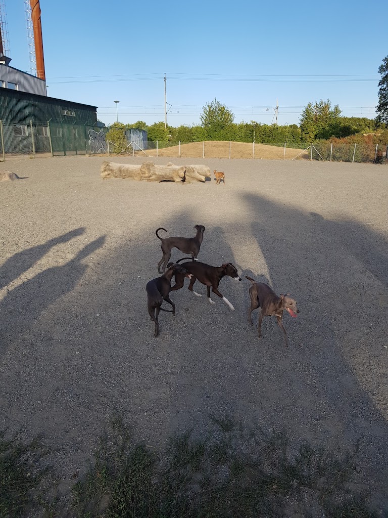 sorgenfrivagen-dog-park-7.jpeg