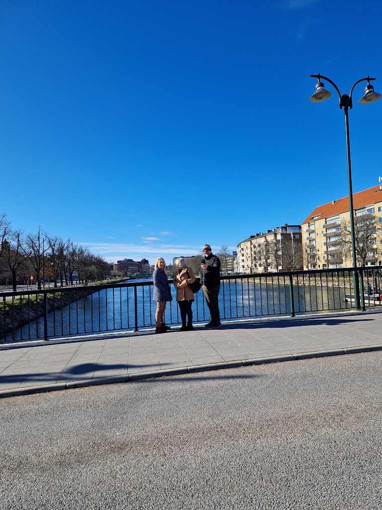 sorgenfrivagen-dog-park-8.jpeg