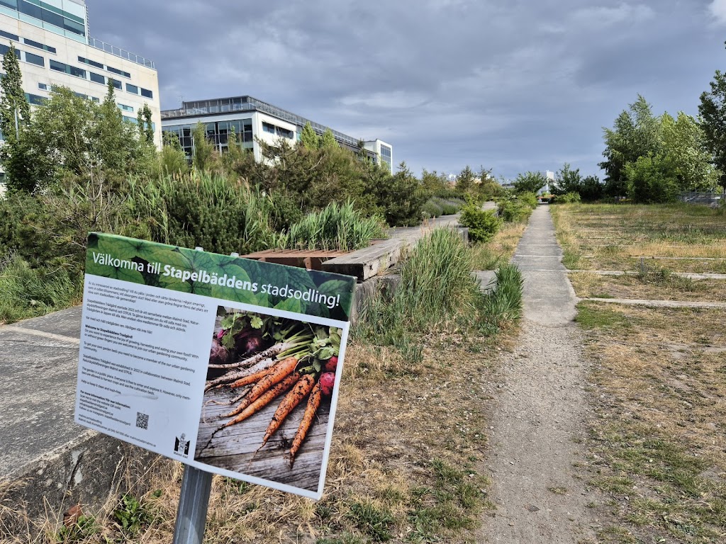stapelbaddens-tradgard-stadsodling-4.jpeg