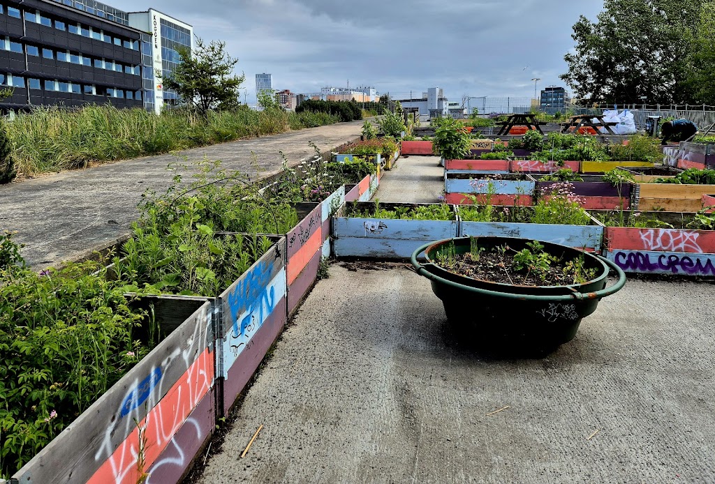 stapelbaddens-tradgard-stadsodling-5.jpeg