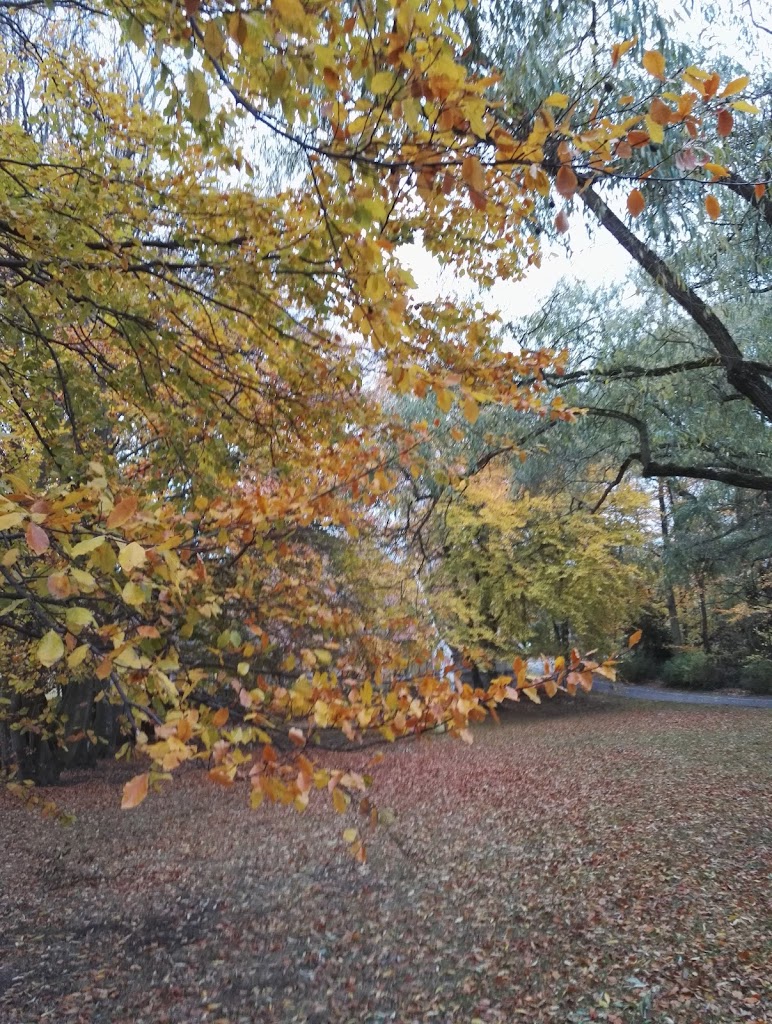svennedalsparken-18.jpeg