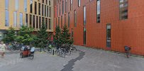 swedbanks-agarstiftelse-skane-4.jpeg