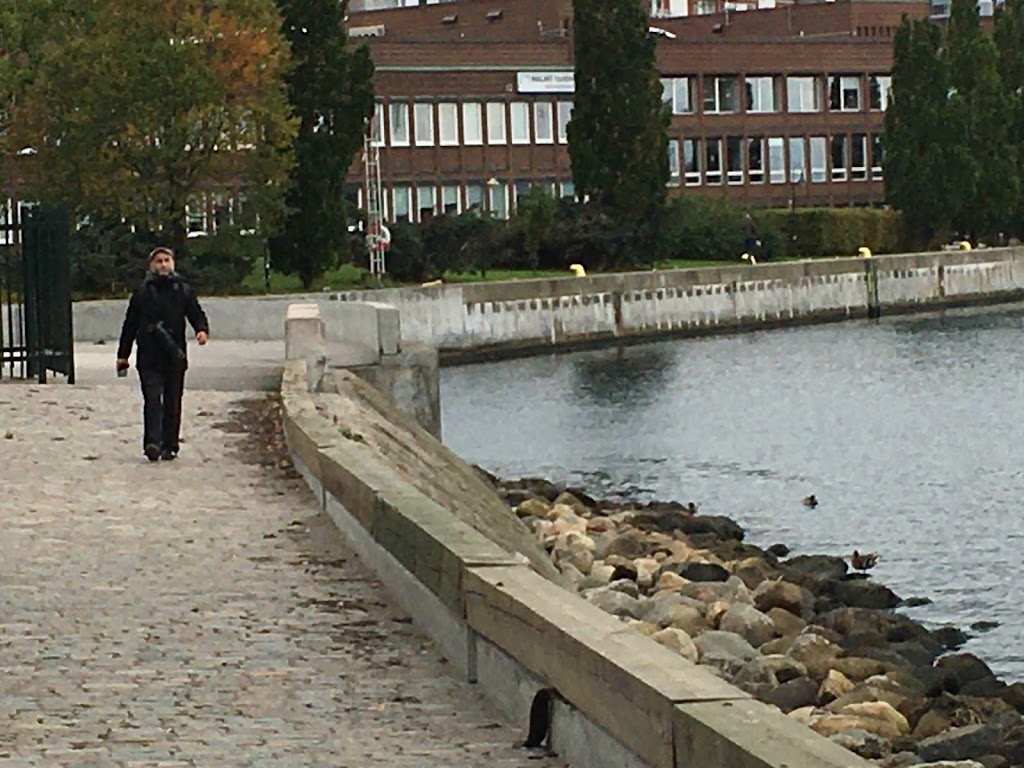 teaterhogskolan-malmo-3.jpeg