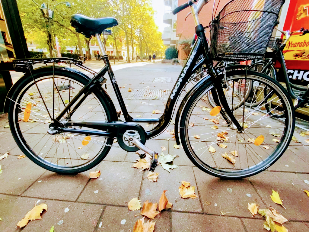 viking-cyklar-1.jpeg