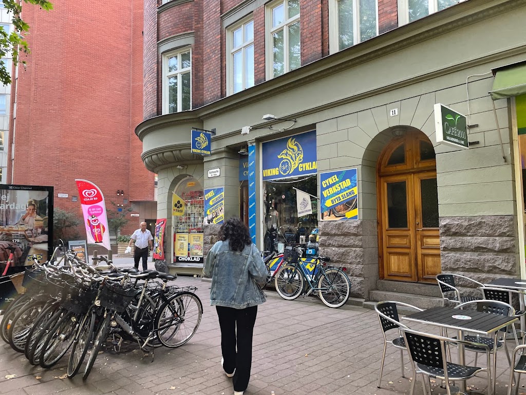 viking-cyklar-7.jpeg